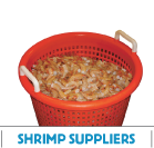 Shrimp Locator